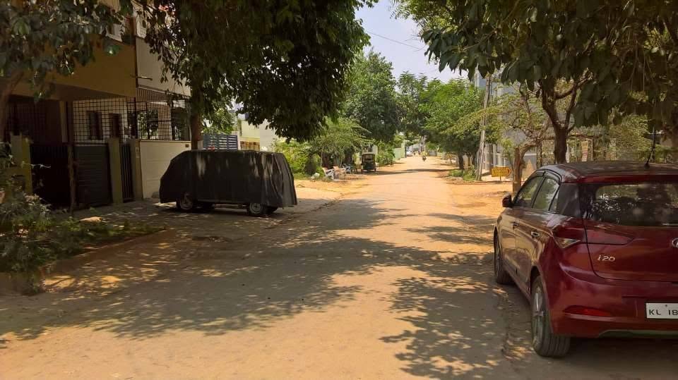 Tree-lined street pictured in Sunny Layout Facebook gallery